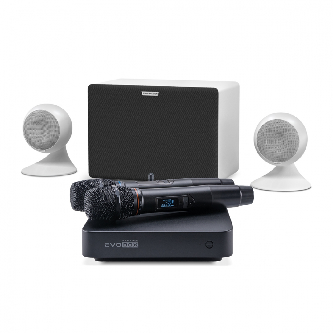 караоке-комплект EVOBOX Classic + EvoSound Sphere 2.1 в Михайлове