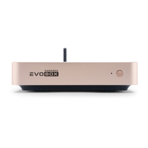 EVOBOX Classic караоке-система для дома в Михайлове